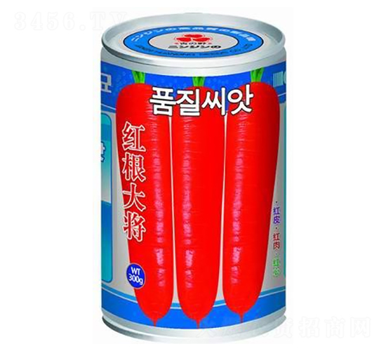 �t����-���}���N��-�A�r(n��ng)�N�I(y��)