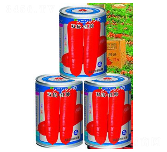 �p�����t��-���}���N��-�A�r(n��ng)�N�I(y��)