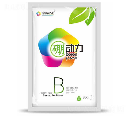 ������-��̩�r(n��ng)�I(y��)