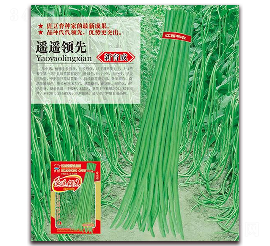 �b�b�I(l��ng)��-�����N��-�A�r(n��ng)�N�I(y��)