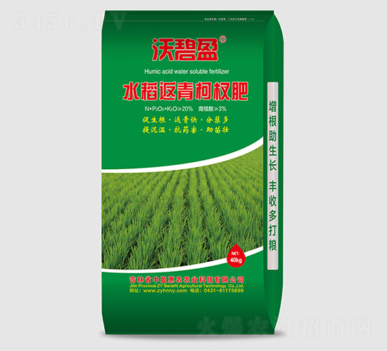 水稻返青柯杈肥-沃碧盈-中盈惠農(nóng)