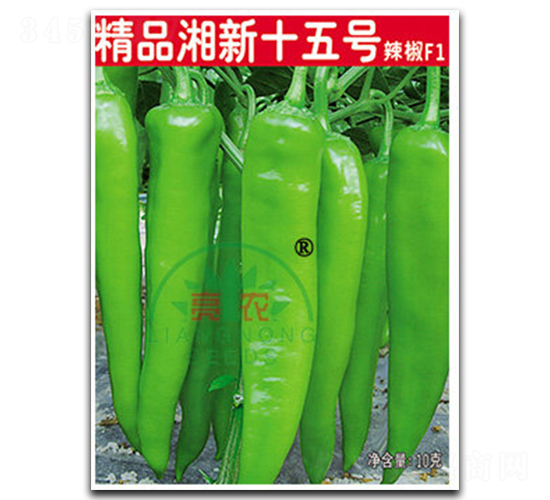 精品湘新十五號-辣椒種子-亮農(nóng)