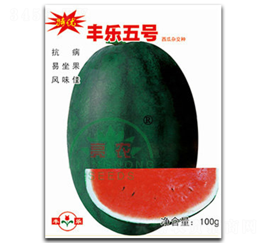 豐樂5號-西瓜種子-亮農(nóng)