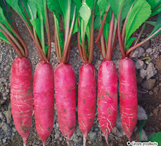 ӳ���t-�}���N��-�G����