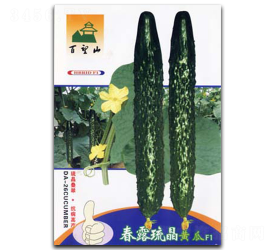 ��¶��-�S�ϷN��-�G����