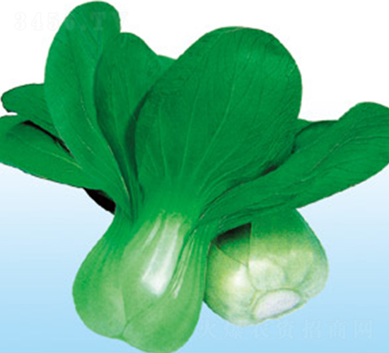 ����-��˷N��-�G����