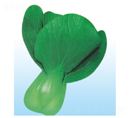 ���A-��˷N��-�G����