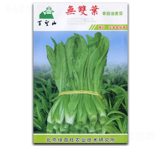 �o�p�~-�����˷N��-�G����