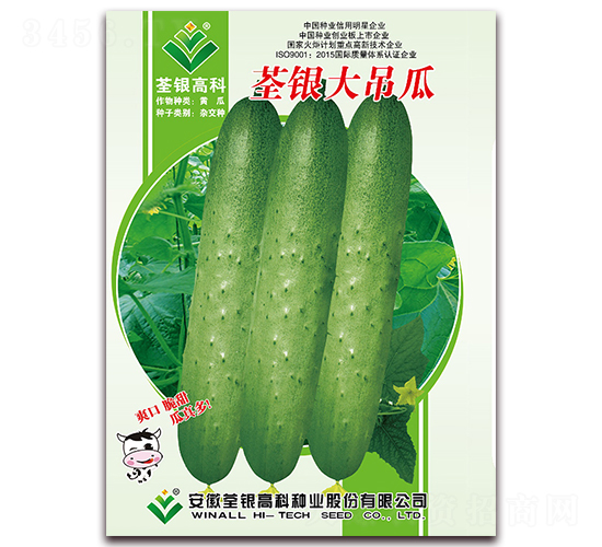 ���y�����-�S�ϷN��-���y�ϲ�