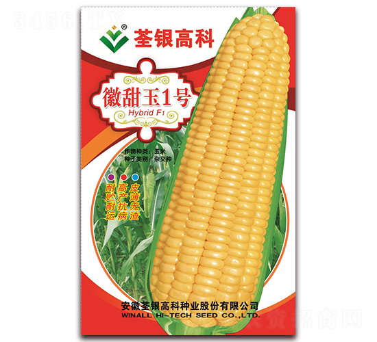 ������1̖-�����׷N��-���y�ϲ�