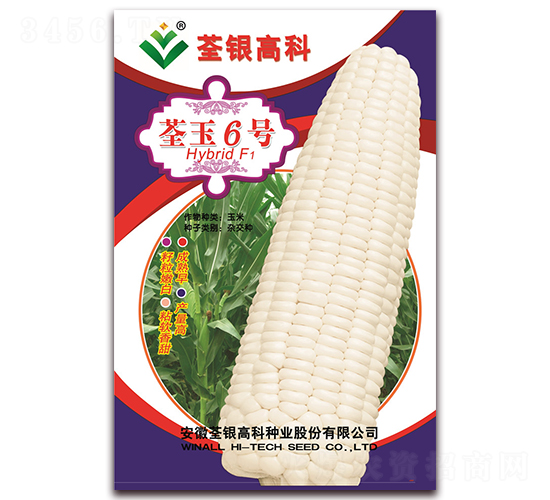 ����6̖-Ŵ���׷N��-���y�ϲ�