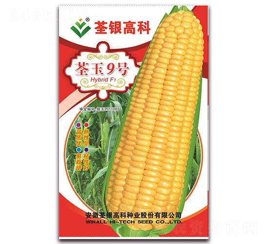 ����9̖-Ŵ���׷N��-���y�ϲ�