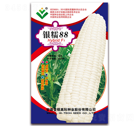 �yŴ88-Ŵ���׷N��-���y�ϲ�