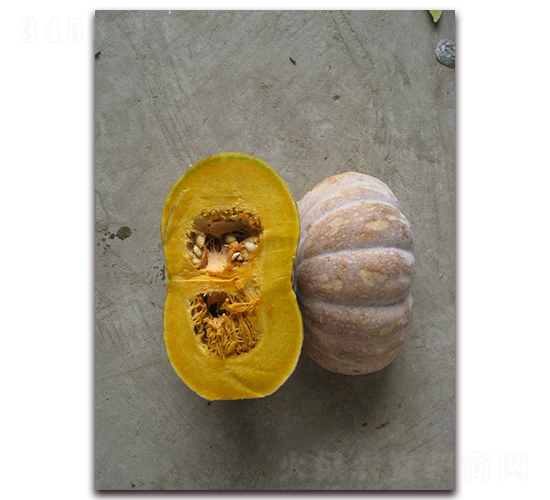 ���y����-�ϹϷN��-���y�ϲ�