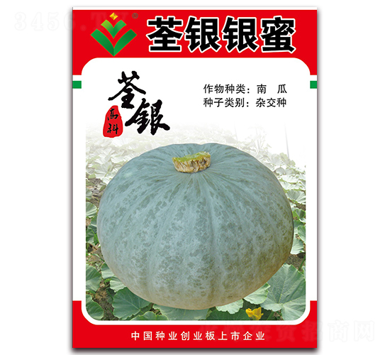 荃銀銀蜜-南瓜種子-荃銀瓜菜