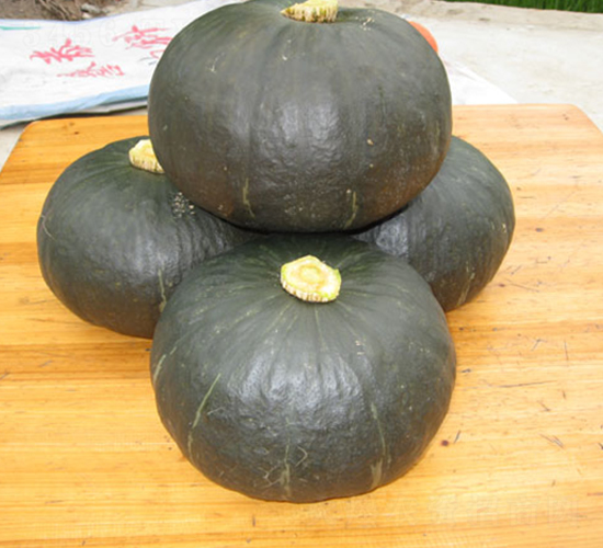 �ھ���̖-�ϹϷN��-���y�ϲ�