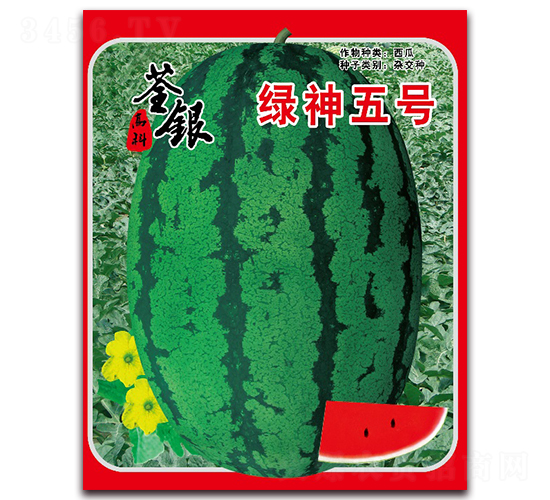 �G����̖(h��o)-���ϷN��-���y�ϲ�