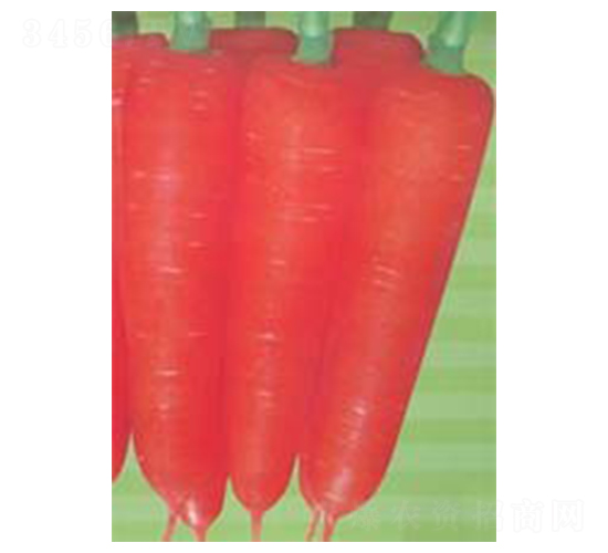 ���t���-���}���N��-������