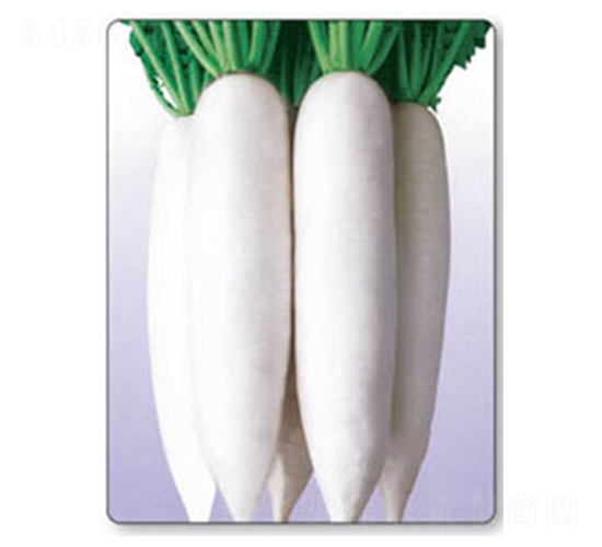 ������-���}���N��-������