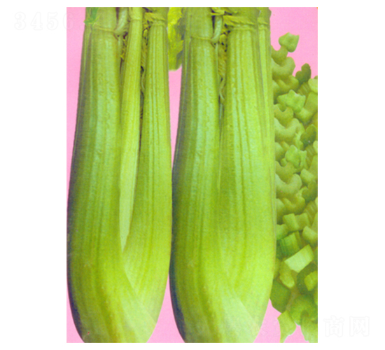 �Aʢ�D1̖(h��o)-�۲˷N��-������