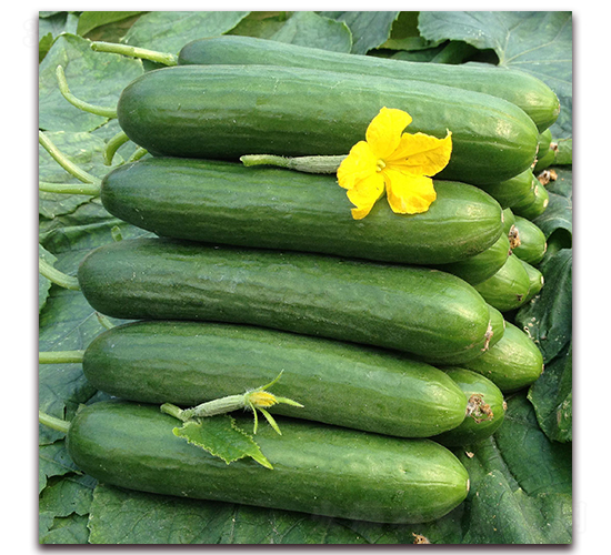 �̴�19-�S�ϷN��-�����r(n��ng)