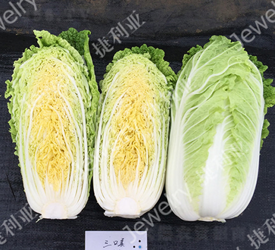 ������-�ײ˷N��-������