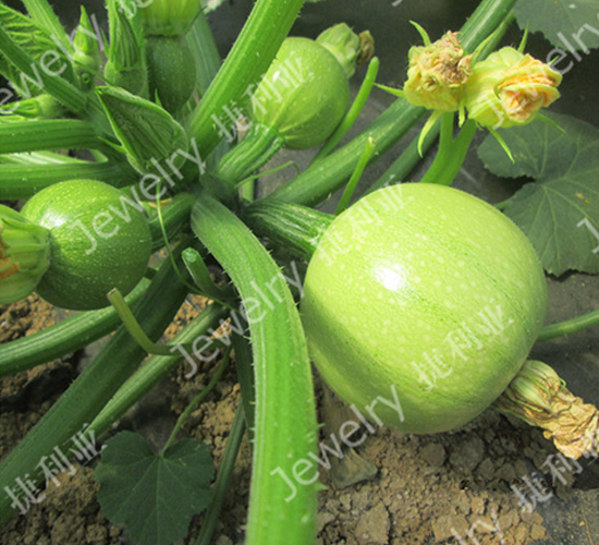 ����141-�����J�N��-������