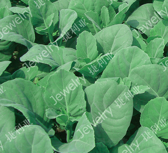 �݌�3̖-���{�N��-������