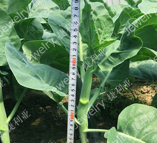 �݌�4̖-���{�N��-������