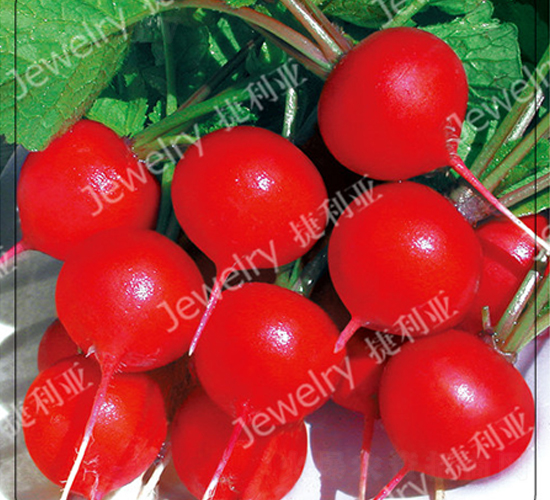 ����(y��u)4̖-�����}���N��-������