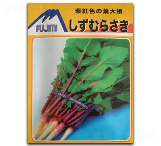 �ձ��ϼtɫ�~���}��-�}���N��-ʥ�r(n��ng)�߿�