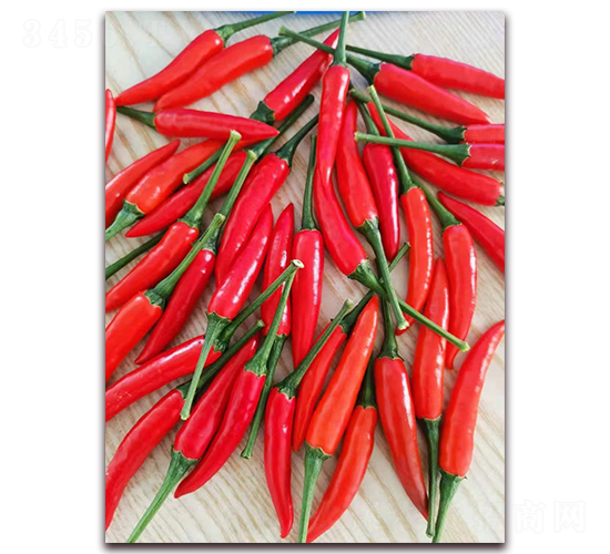 ʥ�r(n��ng)�t��ʯ04���콷-���콷�N��-ʥ�r(n��ng)�߿�