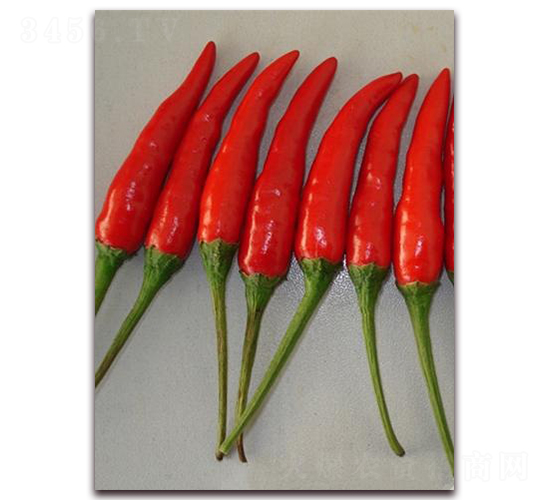 ʥ�r(n��ng)�t��ʯ01���콷-���콷�N��-ʥ�r(n��ng)�߿�