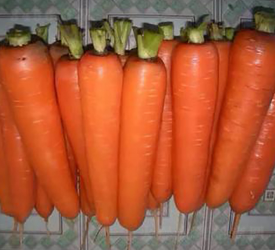 �t��606-�}���N��-����N��