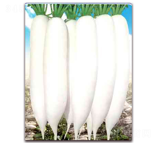 ������-�}���N��-����N��