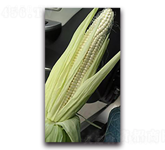 ����Ŵ9̖-Ŵ���׷N��-����N��