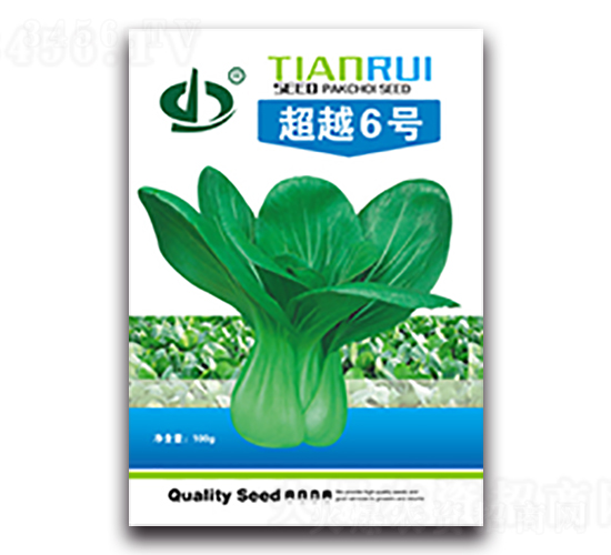 ��Խ6̖-�๣�˷N��-����N��