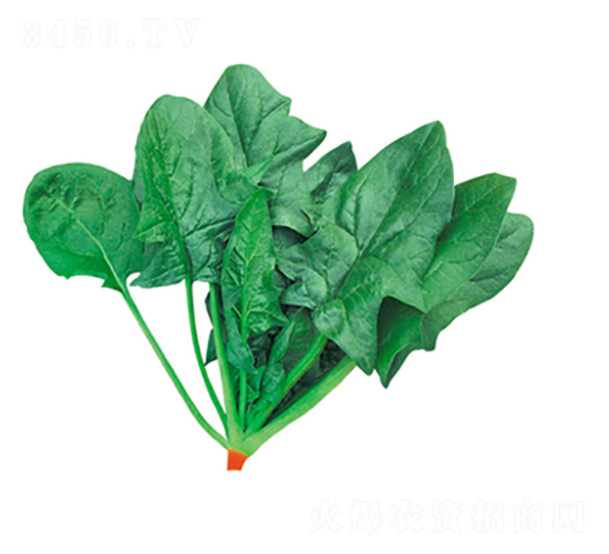 �G��107-���˷N��-����N��