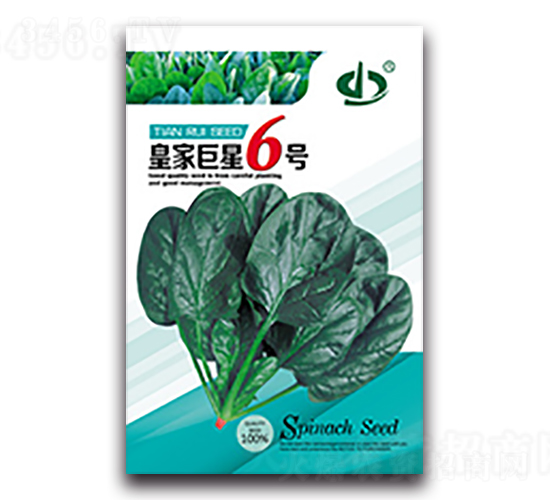 皇家巨星6號(hào)-菠菜種子-天瑞種子