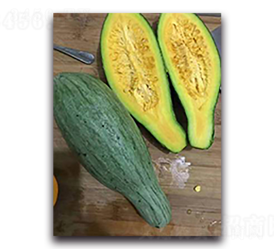 �y����-�ϹϷN��-����N��