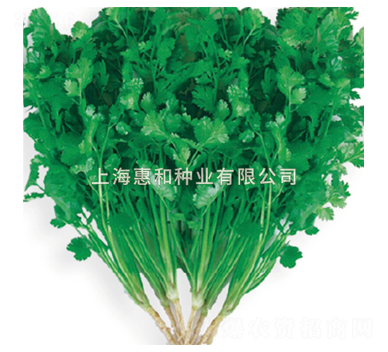 ����-��˷N��-�ݺͷN�I(y��)