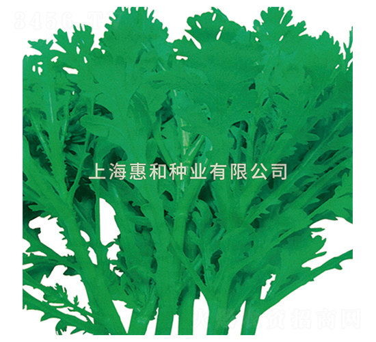 �����̖(h��o)-��շN��-�ݺͷN�I(y��)