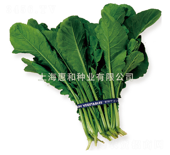 ��������-С�ɲ˷N��-�ݺͷN�I(y��)