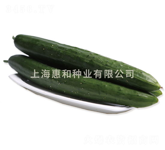 �S�s��̖-�S�ϷN��-�ݺͷN�I(y��)