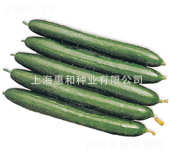 ����ļ�-�S�ϷN��-�ݺͷN�I(y��)