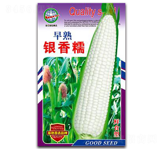 早熟銀香糯-糯玉米種子-宏特