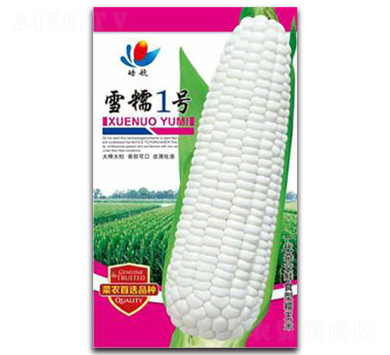 ѩŴ1̖-Ŵ���׷N��-����