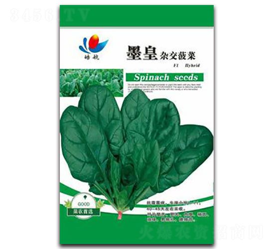 ī���s������-���˷N��-����