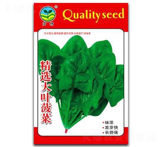 ���x���~����-���˷N��-����