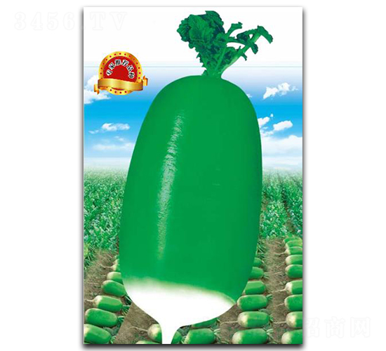 �G��-�}���N��-��(y��u)���r(n��ng)�I(y��)